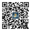 专业网站建设 专业网站建设